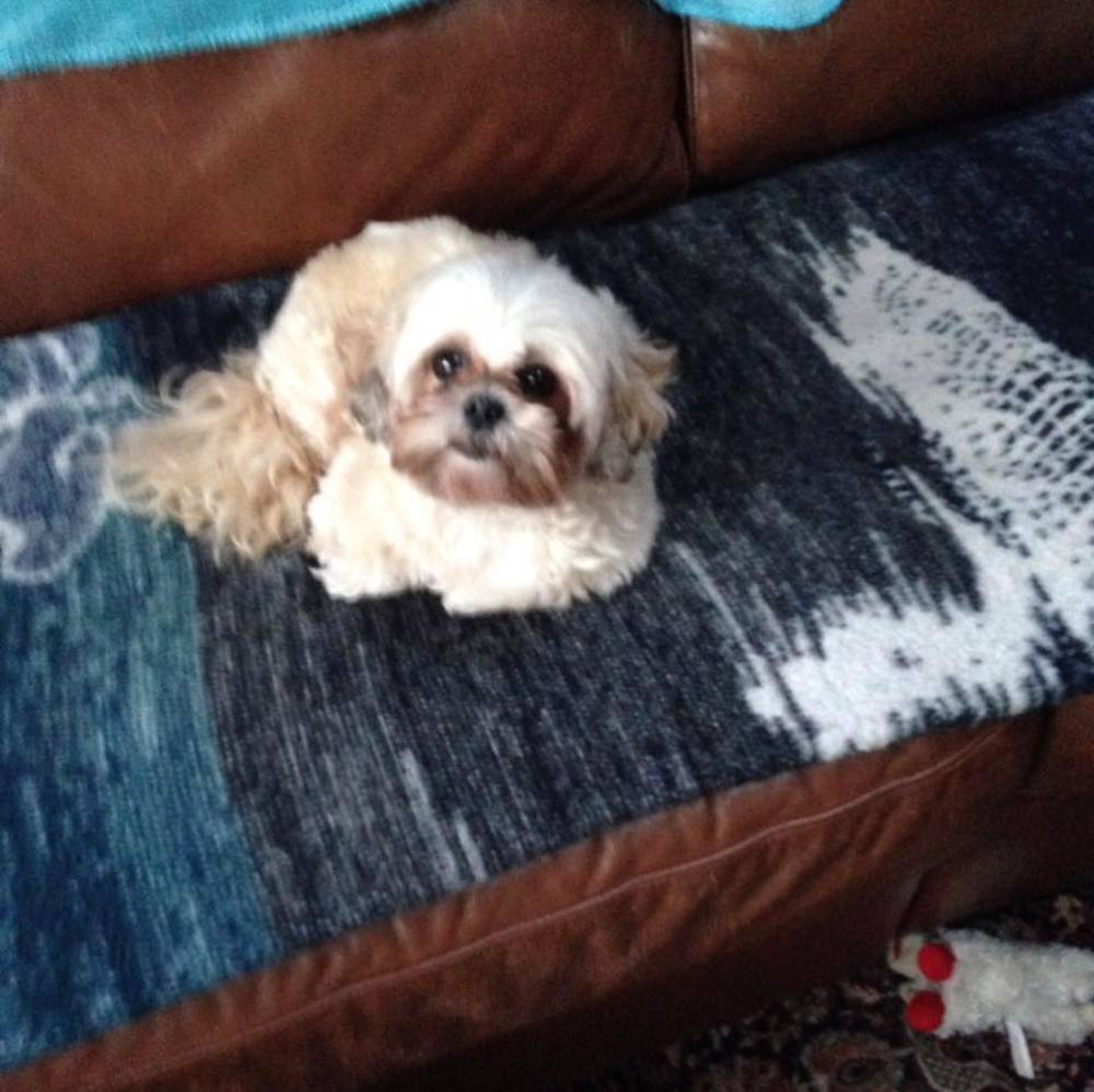 Meet your Posher, Nancy